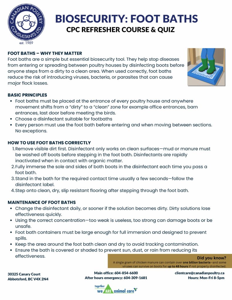 Foot Baths Refresher – December 2025